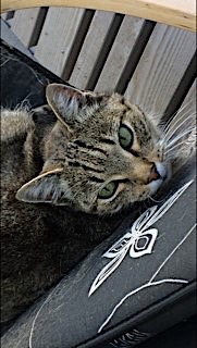 thom